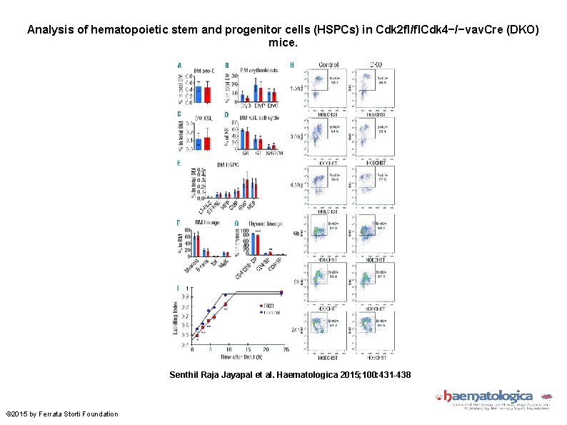 Analysis of hematopoietic stem and progenitor cells (HSPCs) in Cdk 2 fl/fl. Cdk 4−/−vav.