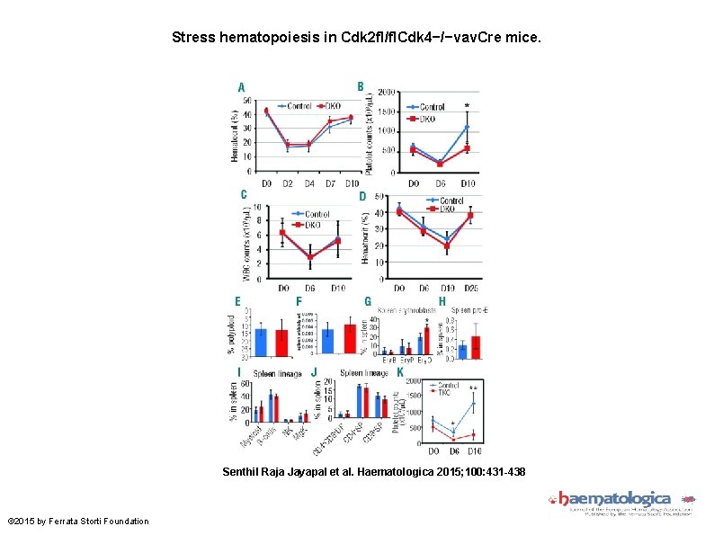 Stress hematopoiesis in Cdk 2 fl/fl. Cdk 4−/−vav. Cre mice. Senthil Raja Jayapal et