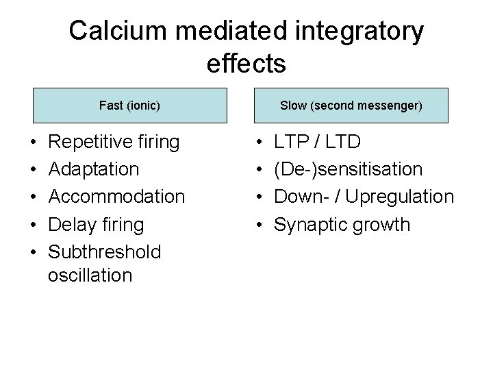 Calcium mediated integratory effects Fast (ionic) • • • Repetitive firing Adaptation Accommodation Delay