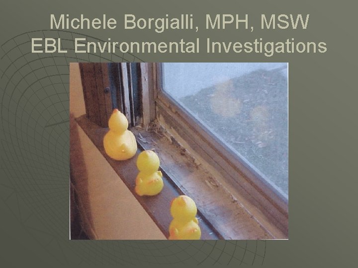 Michele Borgialli, MPH, MSW EBL Environmental Investigations 