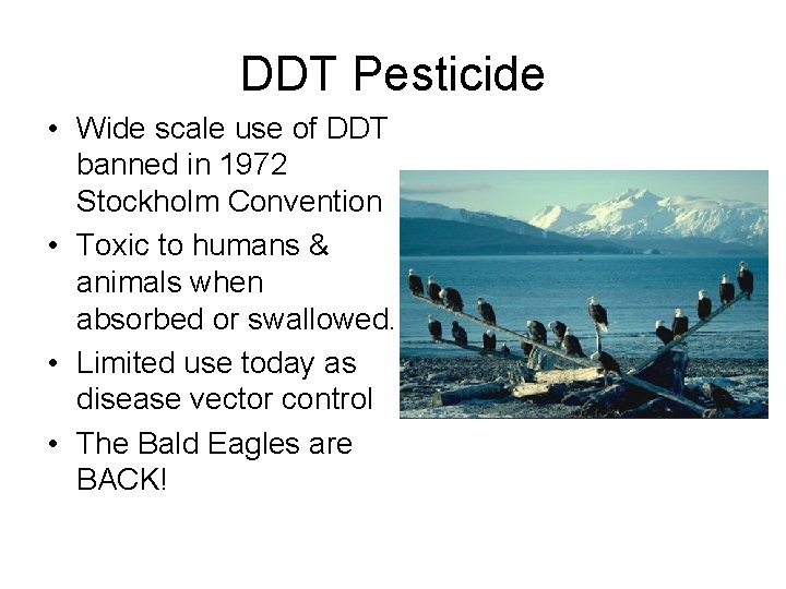 DDT Pesticide • Wide scale use of DDT banned in 1972 Stockholm Convention •