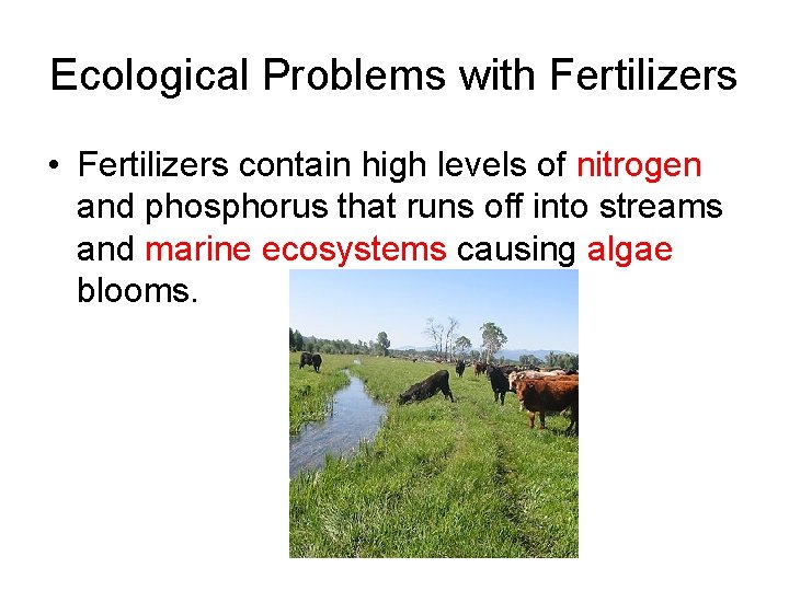 Ecological Problems with Fertilizers • Fertilizers contain high levels of nitrogen and phosphorus that