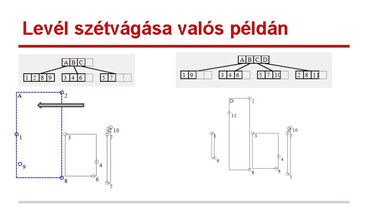 Levél szétvágása valós példán Levél szétvágása valós példán