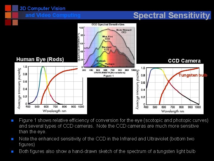 3 D Computer Vision and Video Computing Human Eye (Rods) Spectral Sensitivity CCD Camera