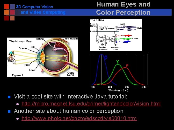 3 D Computer Vision and Video Computing n Visit a cool site with Interactive