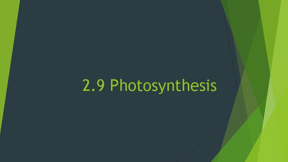 2. 9 Photosynthesis 