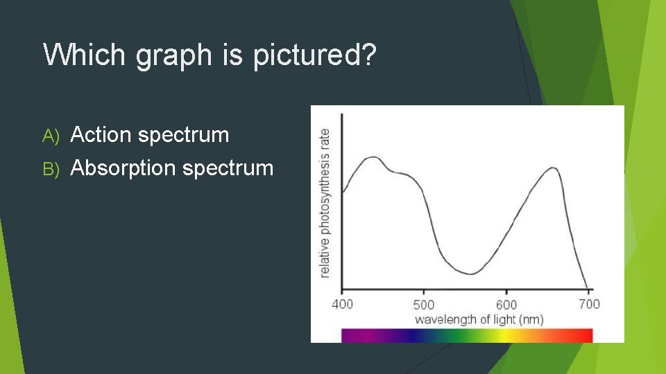 Which graph is pictured? A) Action spectrum B) Absorption spectrum 
