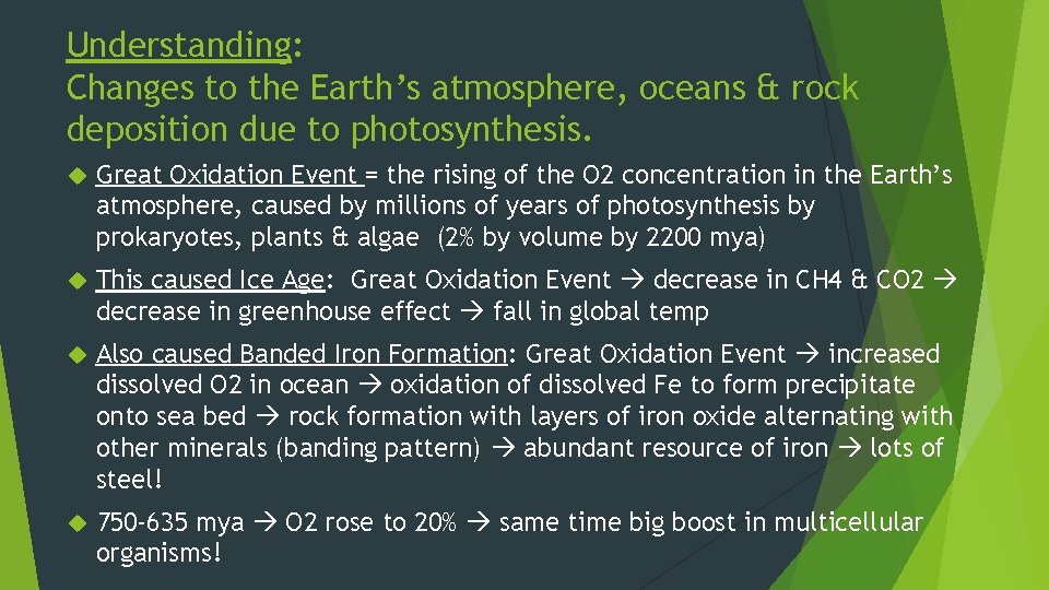 Understanding: Changes to the Earth’s atmosphere, oceans & rock deposition due to photosynthesis. Great