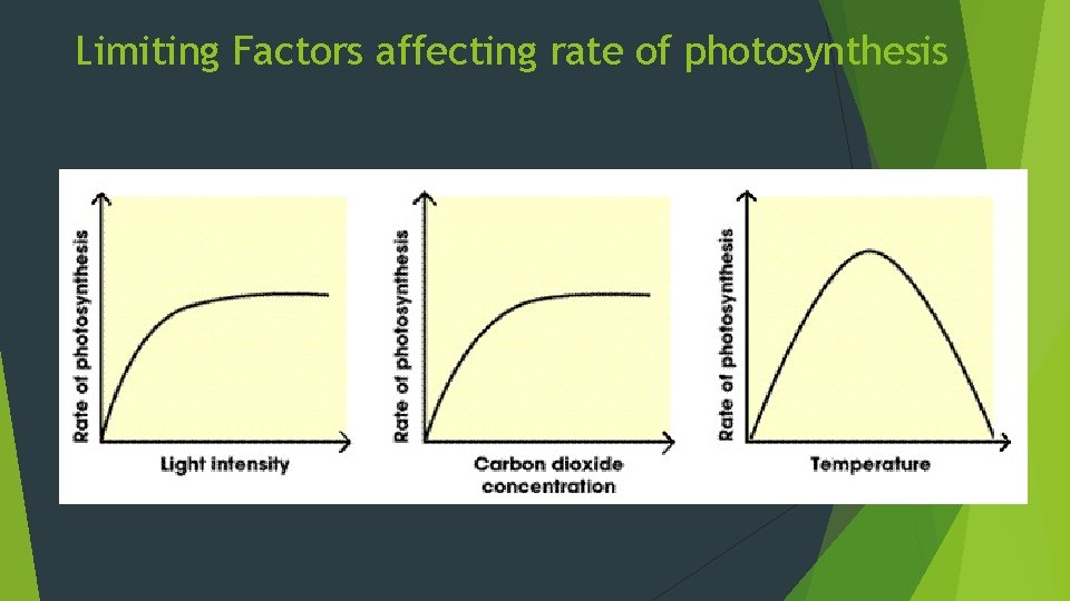 Limiting Factors affecting rate of photosynthesis 