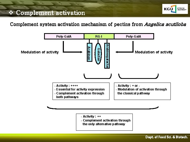v Complement activation Complement system activation mechanism of pectins from Angelica acutiloba Poly-Gal. A