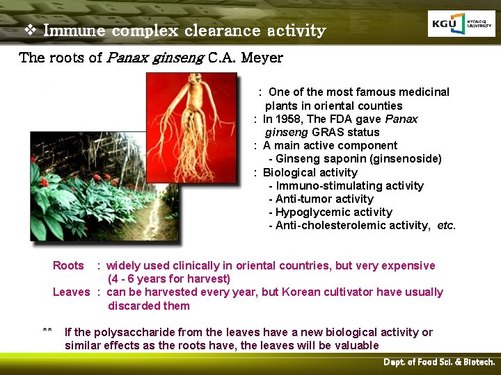 v Immune complex clearance activity The roots of Panax ginseng C. A. Meyer :