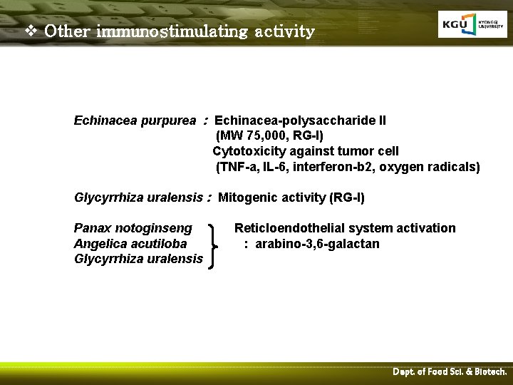 v Other immunostimulating activity Echinacea purpurea : Echinacea-polysaccharide II (MW 75, 000, RG-I) Cytotoxicity