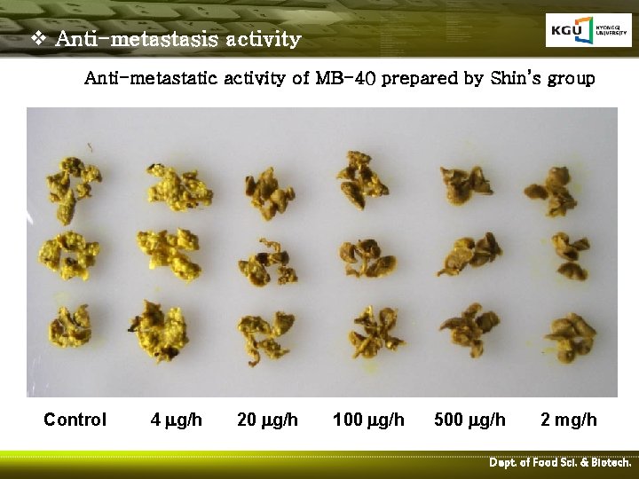 v Anti-metastasis activity Anti-metastatic activity of MB-40 prepared by Shin’s group Control 4 mg/h