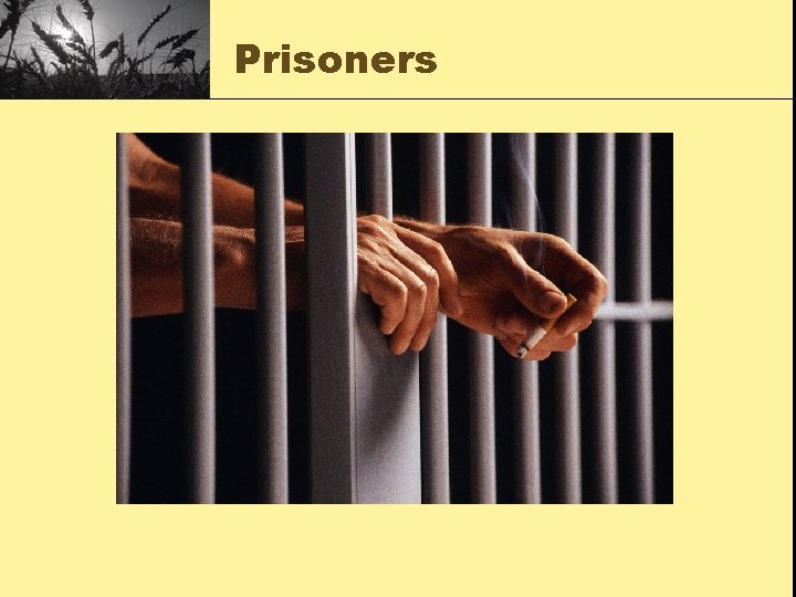 Prisoners 