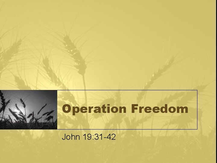 Operation Freedom John 19: 31 -42 