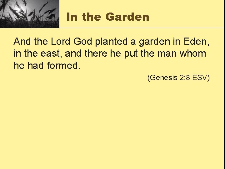 In the Garden And the Lord God planted a garden in Eden, in the