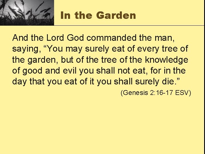 In the Garden And the Lord God commanded the man, saying, “You may surely