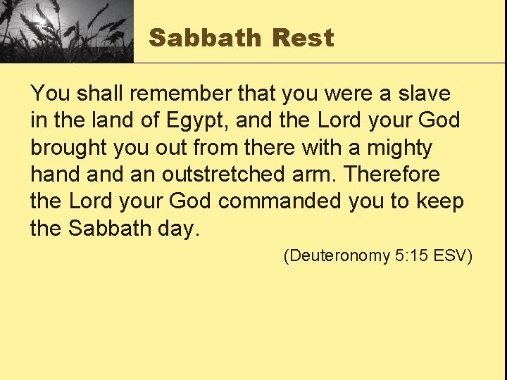 Sabbath Rest You shall remember that you were a slave in the land of