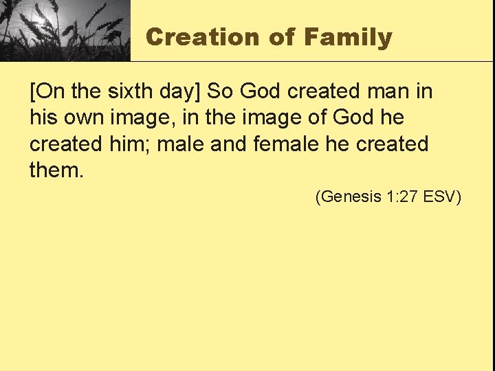 Creation of Family [On the sixth day] So God created man in his own