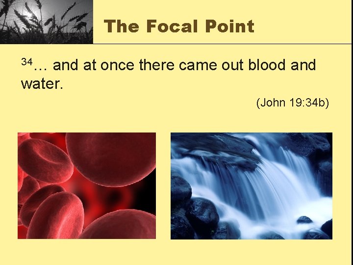 The Focal Point 34… and at once there came out blood and water. (John
