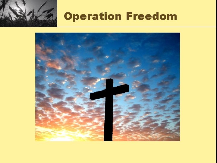 Operation Freedom 