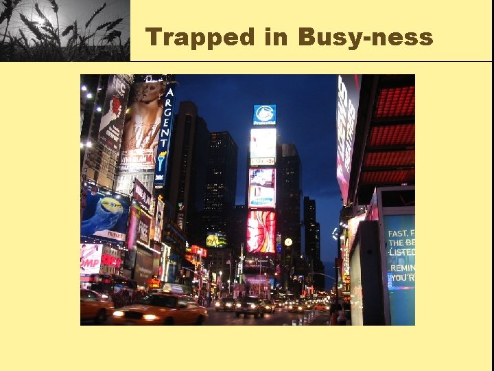 Trapped in Busy-ness 
