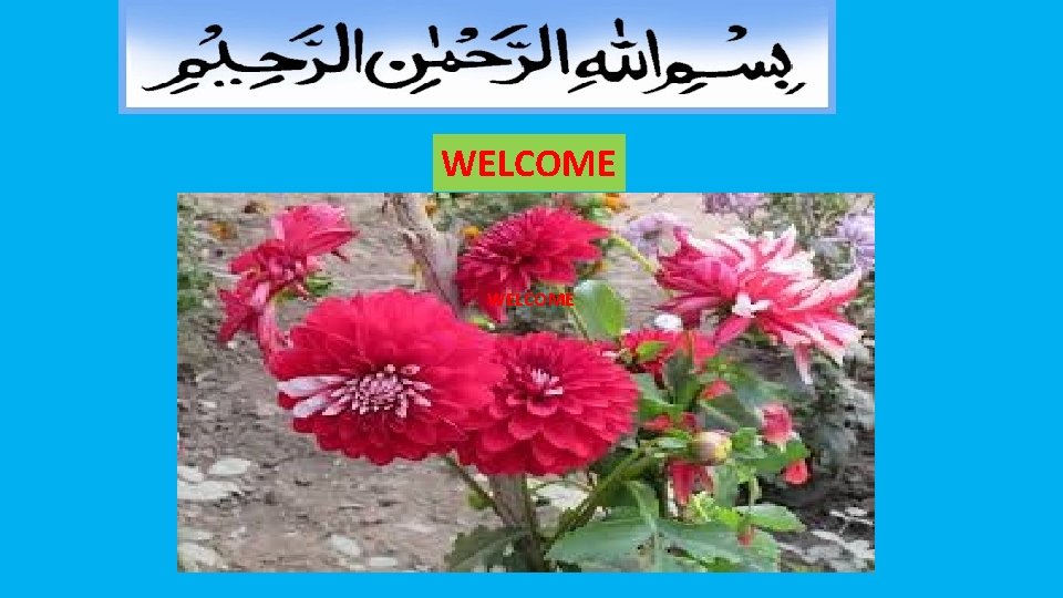 WELCOME 