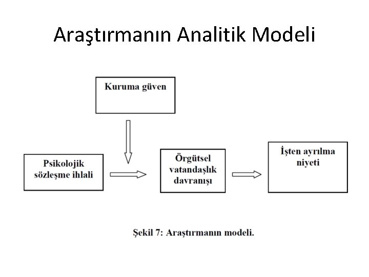 Araştırmanın Analitik Modeli 