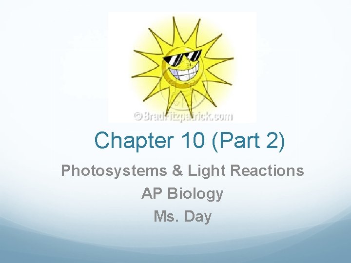 Chapter 10 (Part 2) Photosystems & Light Reactions AP Biology Ms. Day Chapter 10 (Part 2) Photosystems & Light Reactions AP Biology Ms. Day