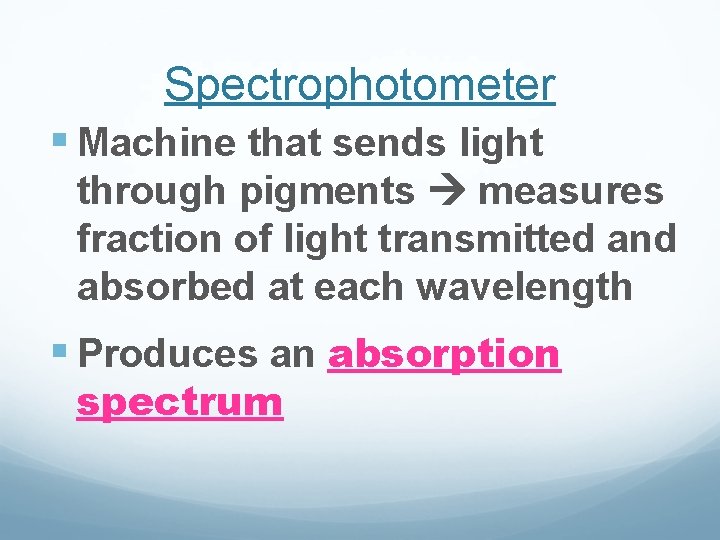 Spectrophotometer § Machine that sends light through pigments measures fraction of light transmitted and Spectrophotometer § Machine that sends light through pigments measures fraction of light transmitted and