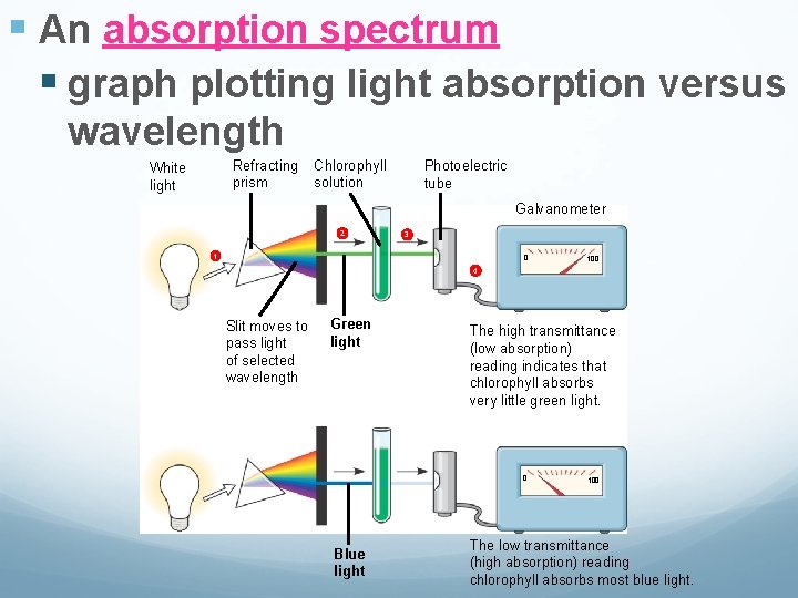 § An absorption spectrum § graph plotting light absorption versus wavelength Refracting prism White § An absorption spectrum § graph plotting light absorption versus wavelength Refracting prism White
