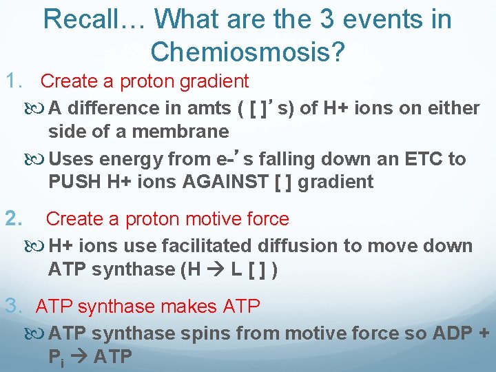Recall… What are the 3 events in Chemiosmosis? 1. Create a proton gradient A Recall… What are the 3 events in Chemiosmosis? 1. Create a proton gradient A