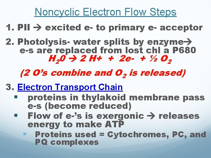 Noncyclic Electron Flow Steps 1. PII excited e- to primary e- acceptor 2. Photolysis- Noncyclic Electron Flow Steps 1. PII excited e- to primary e- acceptor 2. Photolysis-