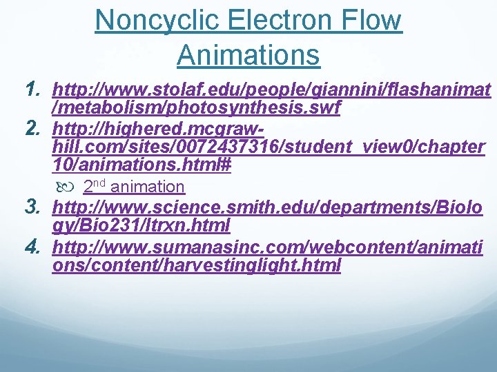 Noncyclic Electron Flow Animations 1. http: //www. stolaf. edu/people/giannini/flashanimat /metabolism/photosynthesis. swf 2. http: //highered. Noncyclic Electron Flow Animations 1. http: //www. stolaf. edu/people/giannini/flashanimat /metabolism/photosynthesis. swf 2. http: //highered.