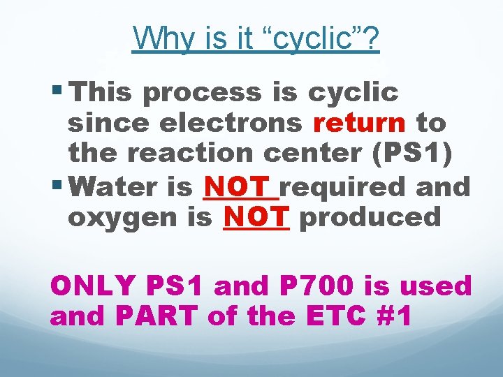 Why is it “cyclic”? § This process is cyclic since electrons return to the Why is it “cyclic”? § This process is cyclic since electrons return to the