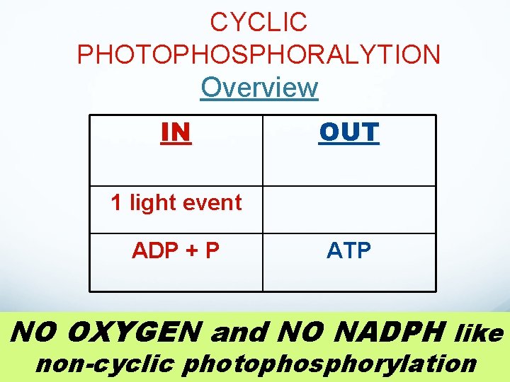 CYCLIC PHOTOPHOSPHORALYTION Overview IN OUT 1 light event ADP + P ATP NO OXYGEN CYCLIC PHOTOPHOSPHORALYTION Overview IN OUT 1 light event ADP + P ATP NO OXYGEN