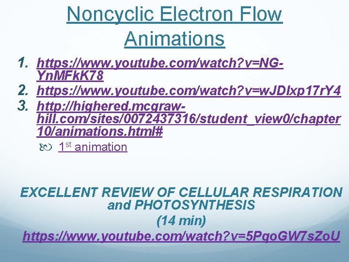 Noncyclic Electron Flow Animations 1. https: //www. youtube. com/watch? v=NG- Yn. MFk. K 78 Noncyclic Electron Flow Animations 1. https: //www. youtube. com/watch? v=NG- Yn. MFk. K 78