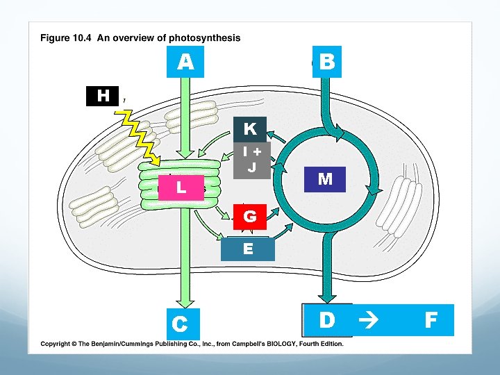A B ? H K L I+ J M G E C D F A B ? H K L I+ J M G E C D F