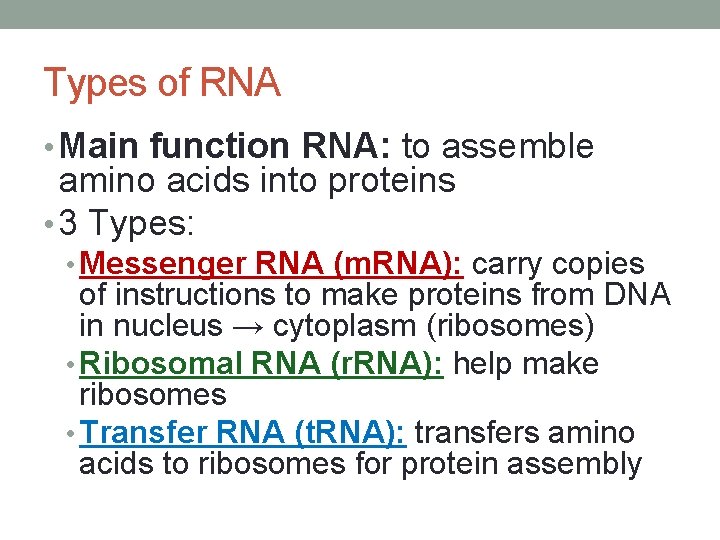 Types of RNA • Main function RNA: to assemble amino acids into proteins •