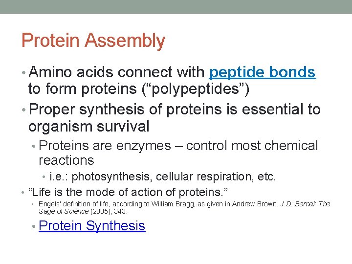 Protein Assembly • Amino acids connect with peptide bonds to form proteins (“polypeptides”) •