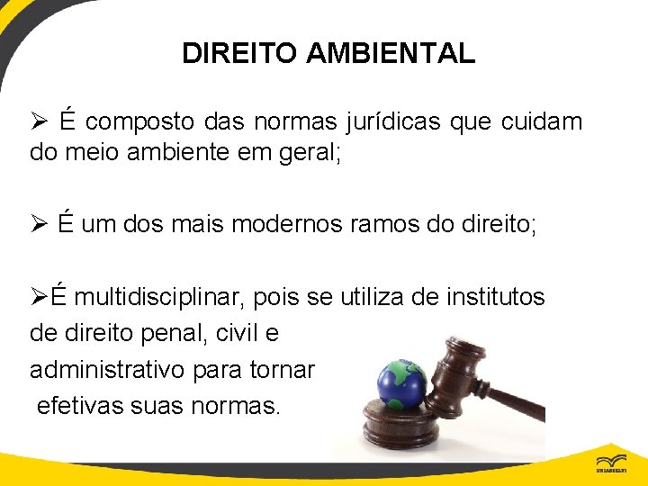 DIREITO AMBIENTAL Ø É composto das normas jurídicas que cuidam do meio ambiente em