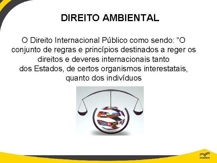 DIREITO AMBIENTAL O Direito Internacional Público como sendo: “O conjunto de regras e princípios