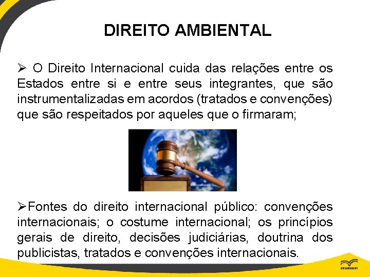 DIREITO AMBIENTAL Ø O Direito Internacional cuida das relações entre os Estados entre si