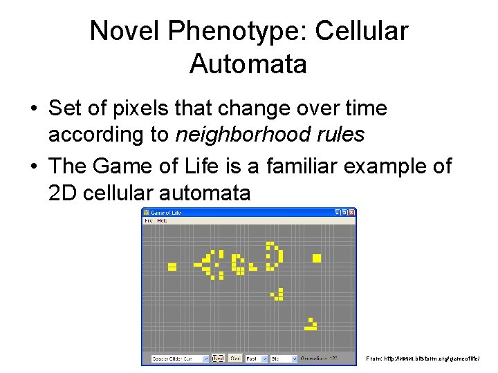 Novel Phenotype: Cellular Automata • Set of pixels that change over time according to