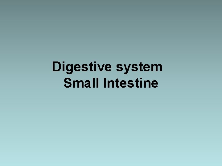 Digestive system Small Intestine 