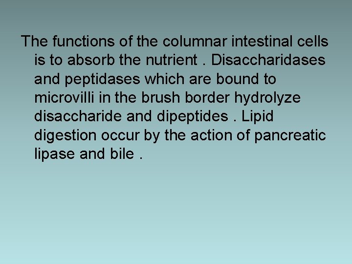 The functions of the columnar intestinal cells is to absorb the nutrient. Disaccharidases and