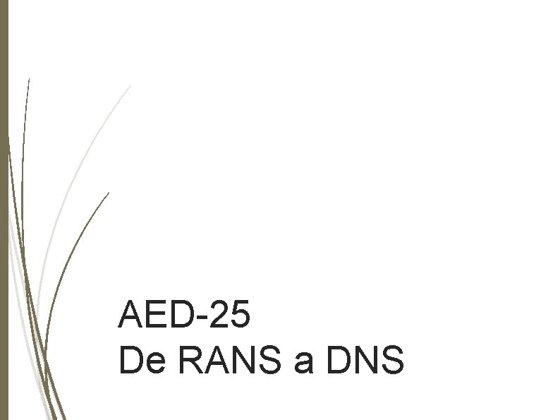 AED-25 De RANS a DNS 