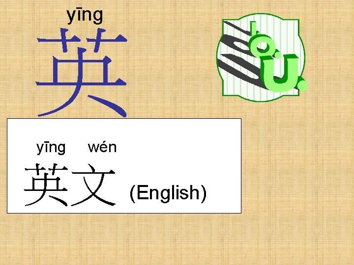 yīng 英 yīng wén 英文 (English) 