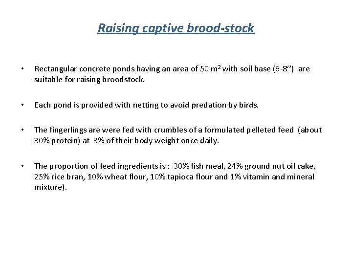 Raising captive brood-stock • Rectangular concrete ponds having an area of 50 m 2