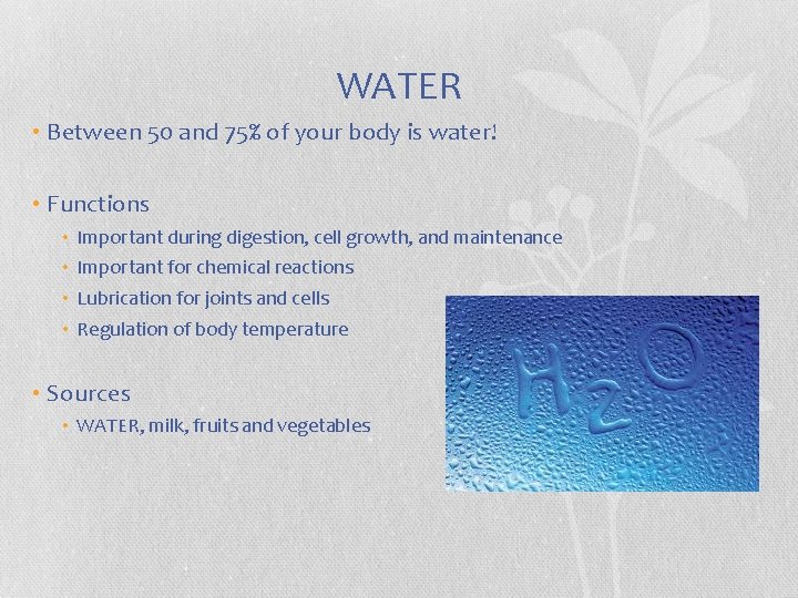 WATER • Between 50 and 75% of your body is water! • Functions • WATER • Between 50 and 75% of your body is water! • Functions •